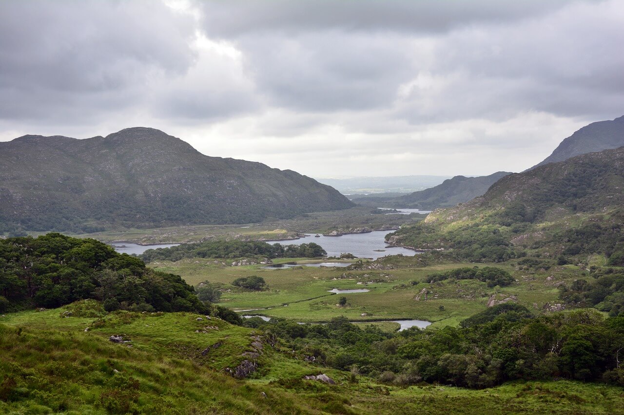 Crime Fiction in the Emerald Isle