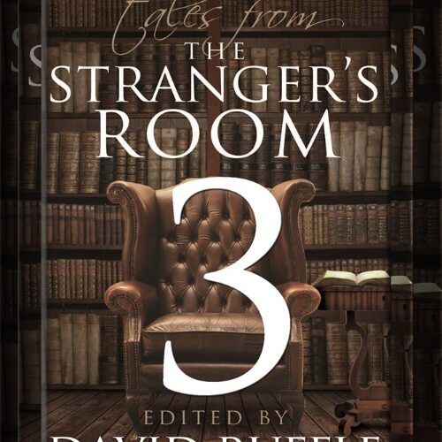Sherlock Holmes- Tales From The Stranger's Room - Volume 3 by David Ruffle