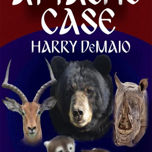 The Attaché Case: Octavius Bear Book 6