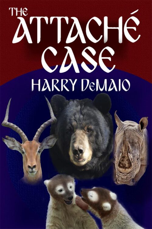 The Attaché Case: Octavius Bear Book 6