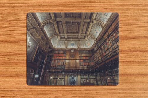 Old Library Jigsaw Puzzle (250 Pieces)