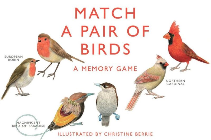 Match a Pair of Birds: A Memory Game