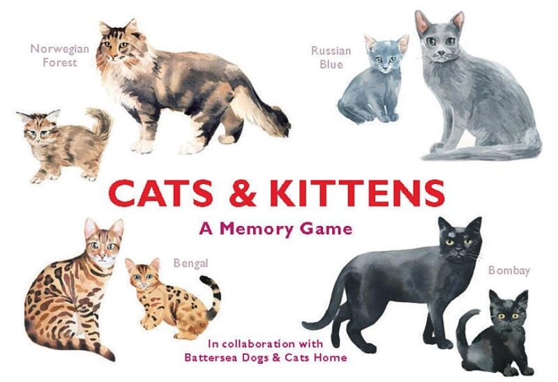 Cats & Kittens Game