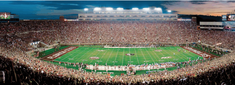 Florida State 1000 Piece Puzzle: Doak Campbell Stadium Tallahassee FL