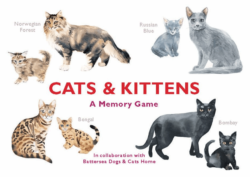 Cats & Kittens: A Memory Game