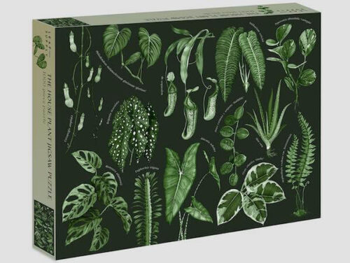 Leaf Supply: The House Plant Jigsaw Puzzle: 1000-Piece Jigsaw Puzzle