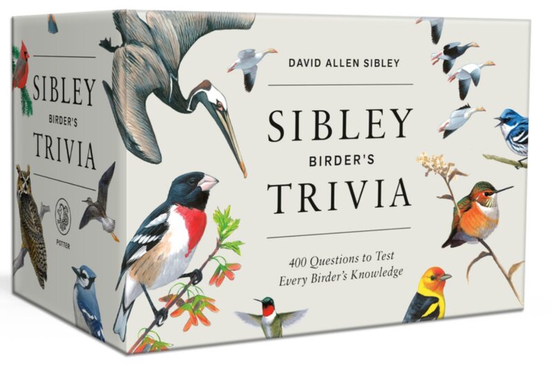 Sibley Birder's Trivia: A Card Game: 400 Questions to Test Every Birder's Knowledge (Ultimate Trivia Card)